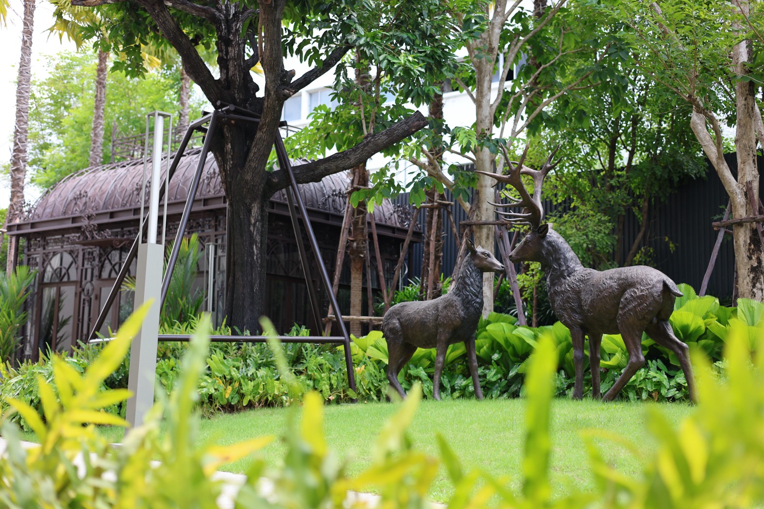 สวนใน รพ.วันเวลา.jpg