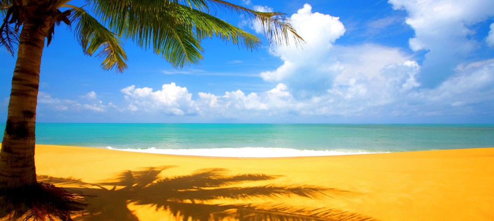 at-the-beach-hd-wallpaper-1920x1200-960x430