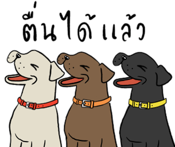 dogNew