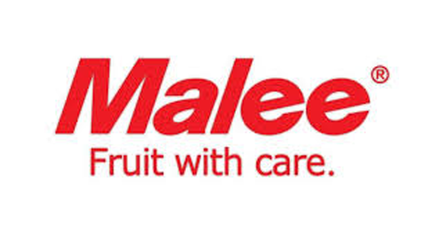 maleeNew