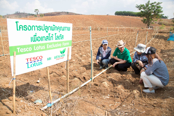 Tesco Lotus New