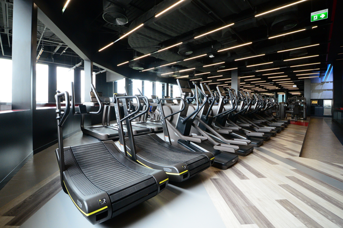 6_fitness