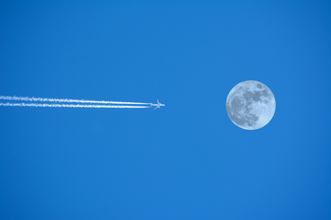 8-fly-me-to-the-moon-1