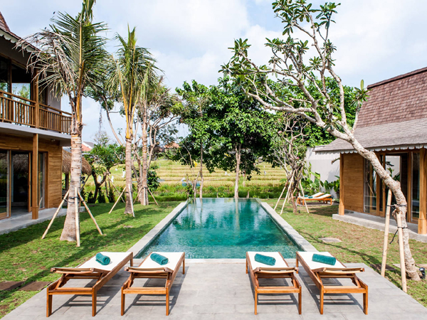 bali-zennew