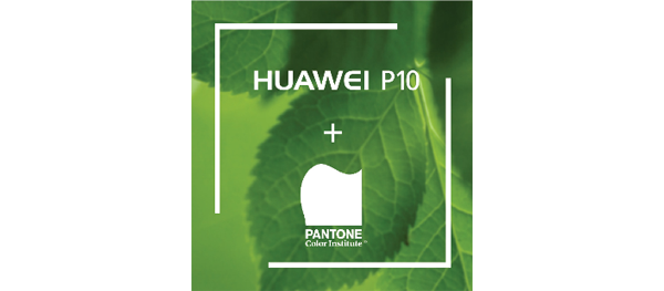 pantonenew