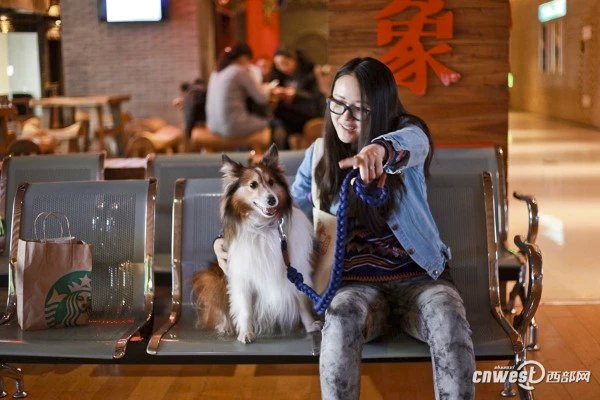 1_cinema_dog