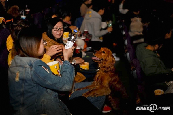 3_cinema_dog