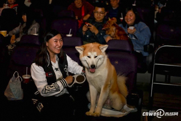 4_cinema_dog