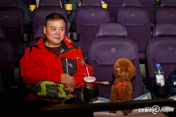 5_cinema_dog