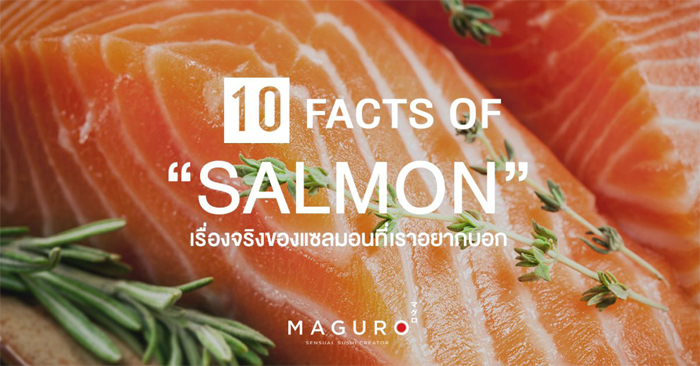 6_MAGURO