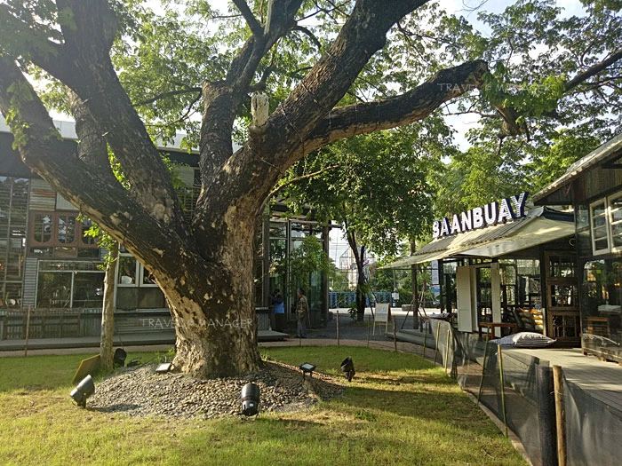 7_changchui