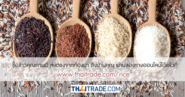 thai