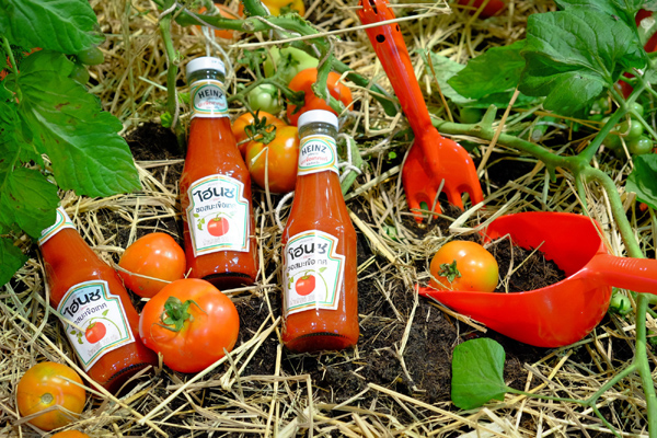 HEINZ