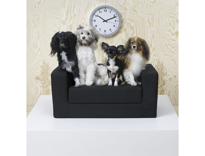 1_pet
