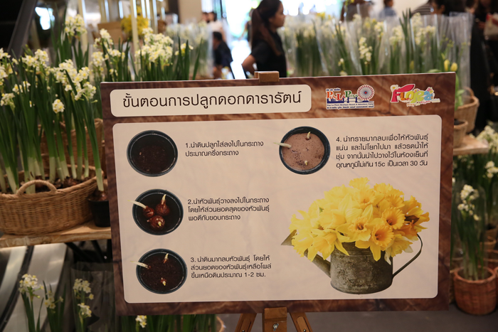 4_flower
