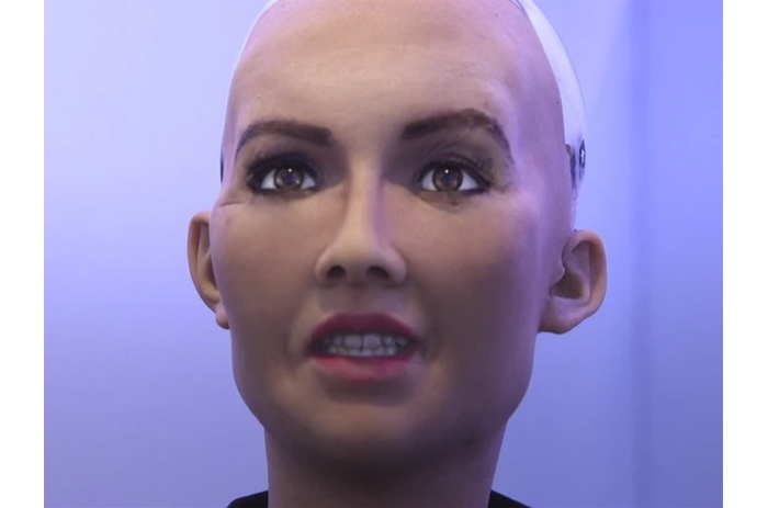 6_Sophia