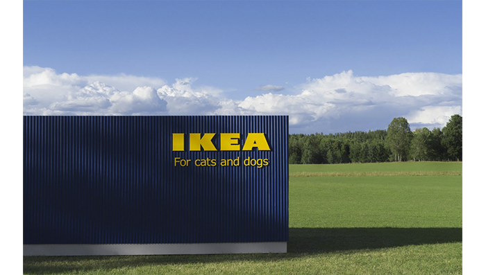 7_pet