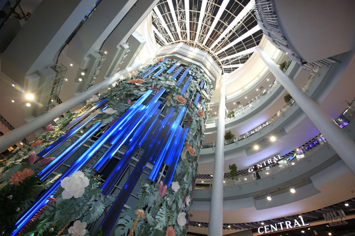 3_central
