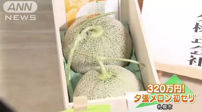 1_melon