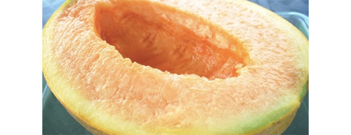 2_melon