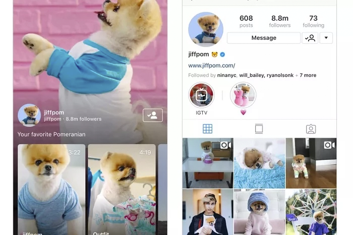 1_instagram