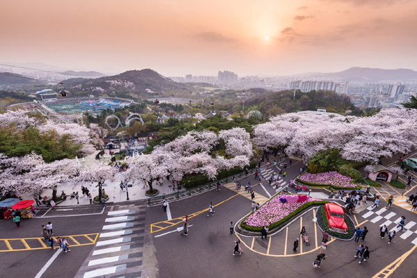 Daegu,