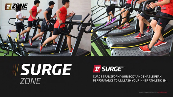 SurgeN