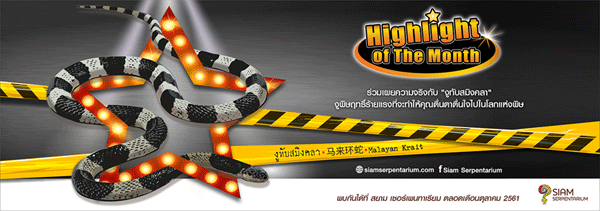 ทาเรีย