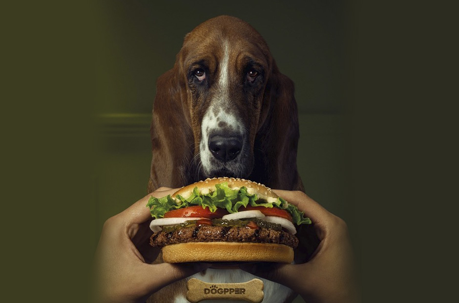 open_dogppernew