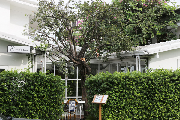 tree