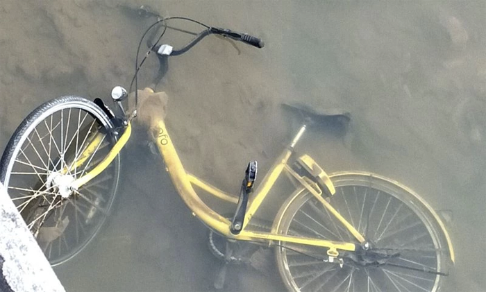 3_ofo