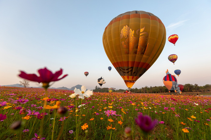 12_balloon