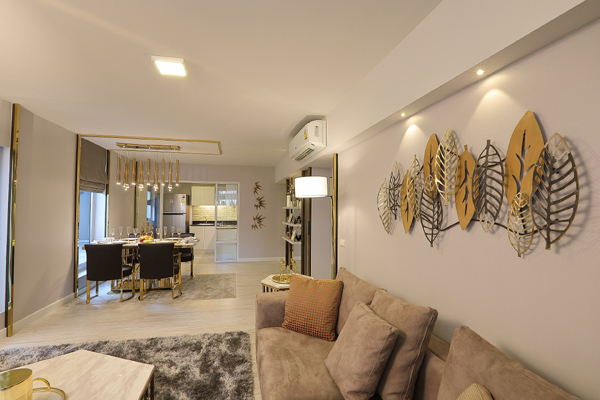 showroom3