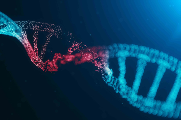 DNA1-1