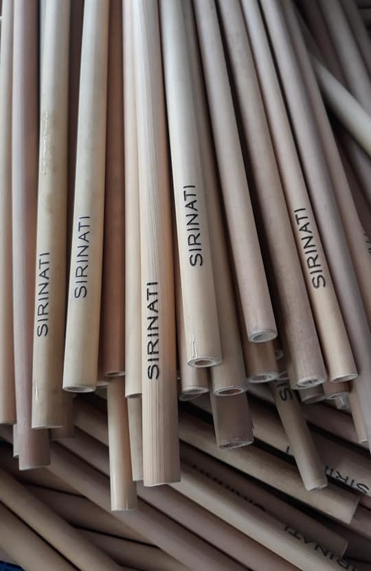 Thailand-Bamboo_2