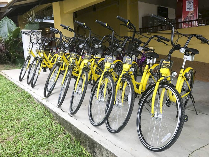 3_ofo