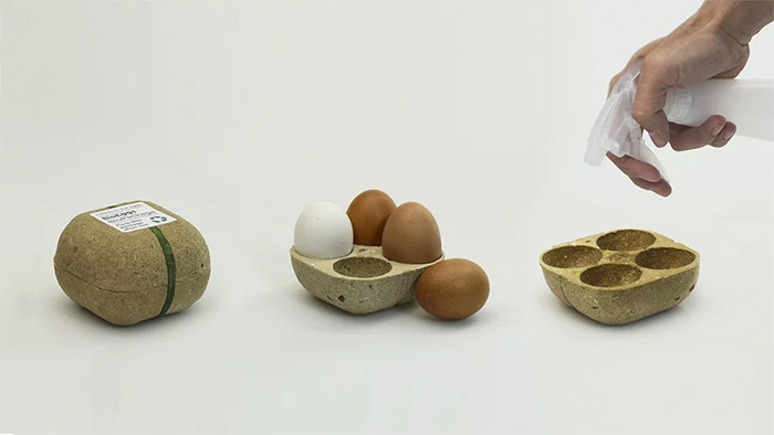 1_egg