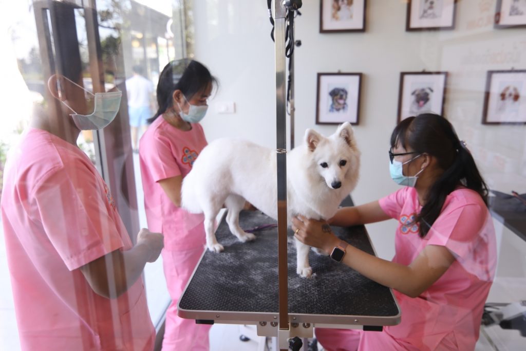 22.-Pet-Friendly-Zone-Pet-Care-PIPC-1024x683