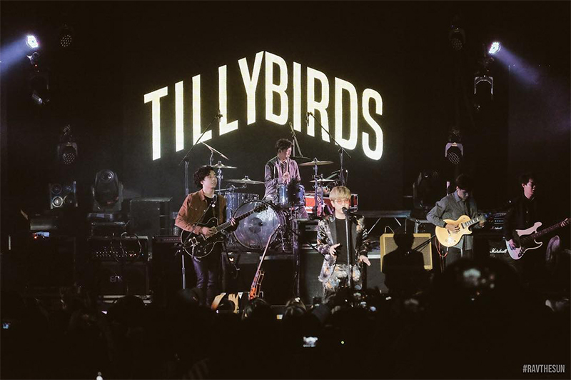 TillyBirds