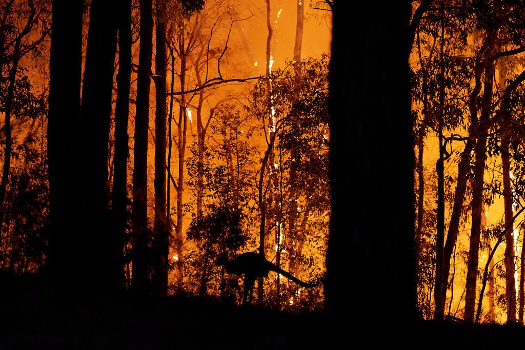 GettyImages-1187798063-1024x683