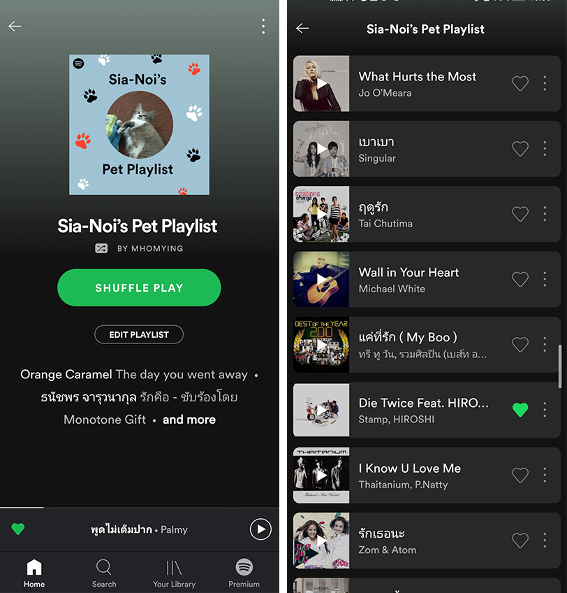 Spotify-Pet-02