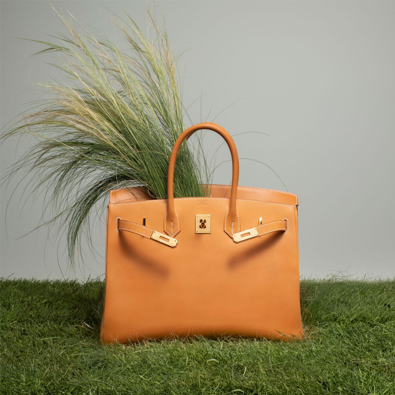 The-Birkin-Bag