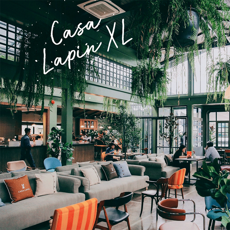 Casa-Lapin-Pattaya-01