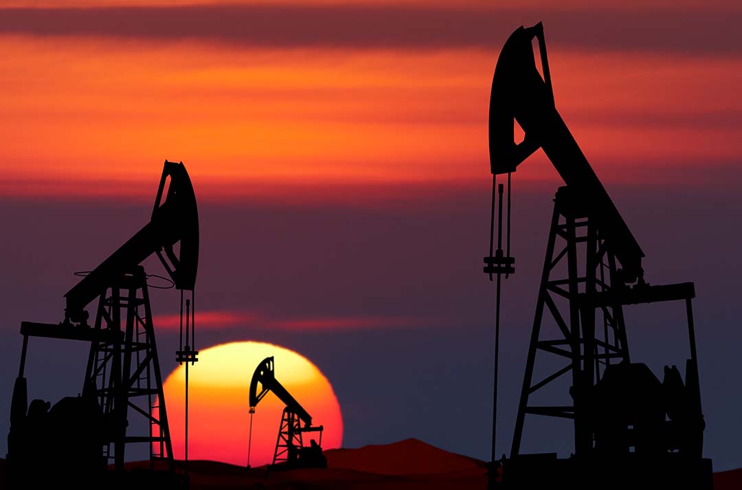 opec02