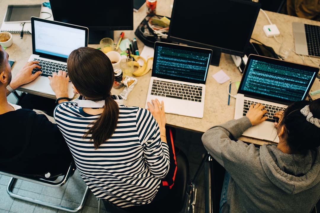 High angle view of young multi-ethnic computer programmers coding on laptops at desk in small office