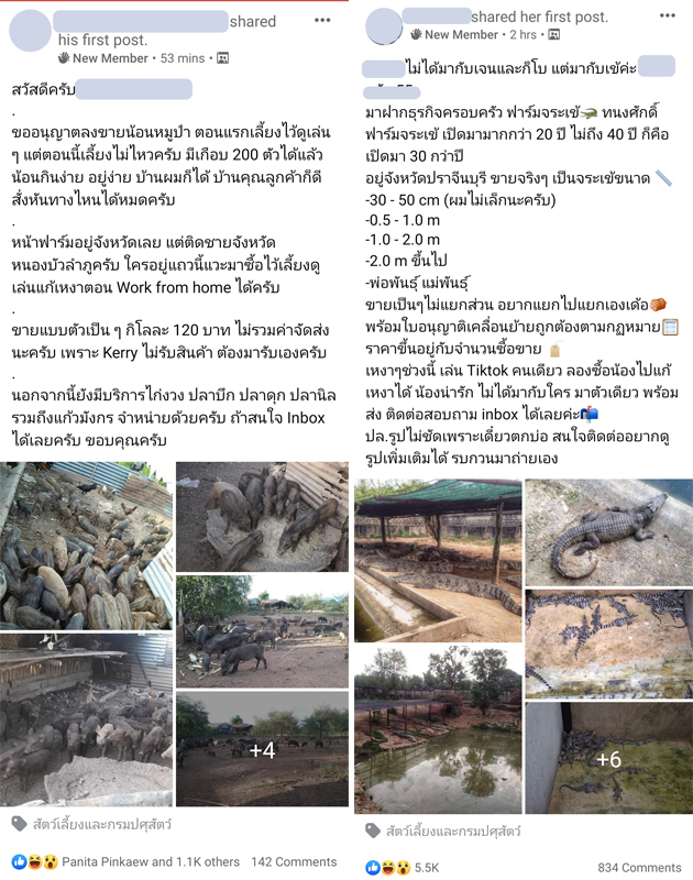 ฝากร้าน-แปลก