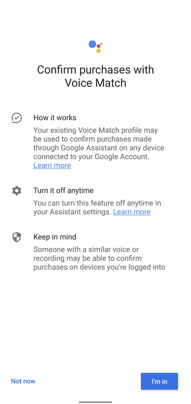 Google-Assistant