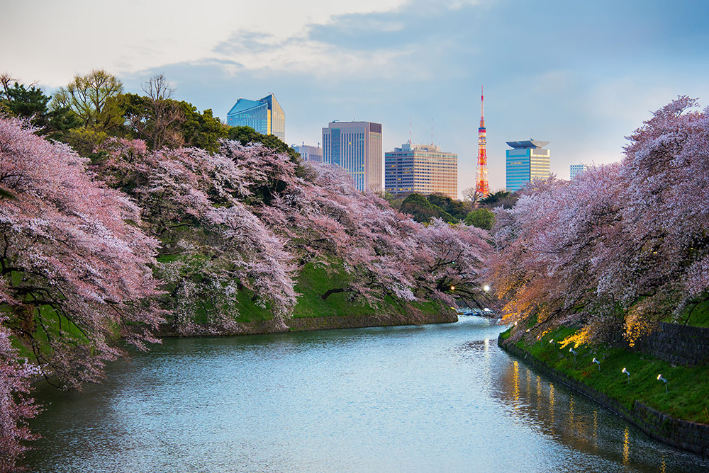 tokyo booking