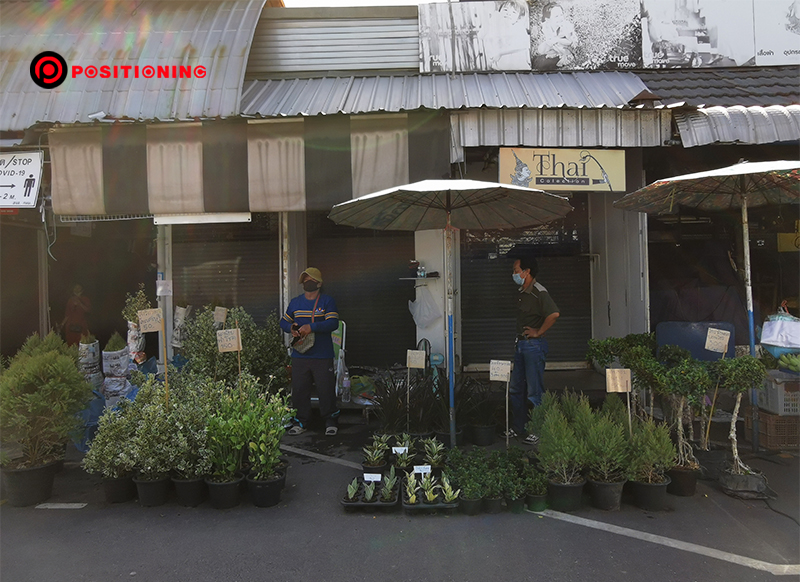 ตลาดต้นไม้-1