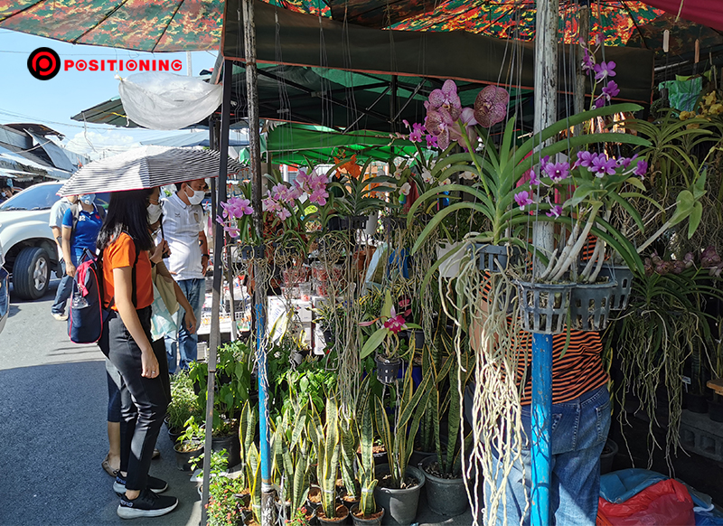 ตลาดต้นไม้-3